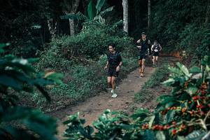 BIB: 
                            <button type="button" onclick="openModal(25788517)" class="btn btn-primary btn-sm float-right btn-popup" data-toggle="modal" data-target=".modal-high-quality">
                        <i class="fas fa-shopping-cart"></i> Add to Cart
                    </button>
                                            <button type="button" onclick="isThisMe(25788517, true)" class="btn btn-success btn-sm float-right btn-popup btn-isme hidden" data-toggle="tooltip" data-placement="bottom" title="นี่คือรูปของคุณใช่ไหม คลิกที่นี่เพื่อเอาเข้าอัลบั้ม">
                        <i class="fas fa-plus"></i> Add to album
                    </button>
                    <button type="button" onclick="isThisMe(25788517, false)" class="btn btn-warning btn-sm float-right btn-popup btn-isnotme hidden">
                        <i class="fas fa-ban"></i> Remove from album
                    </button>